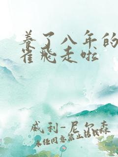 养了八年的金丝雀飞走啦