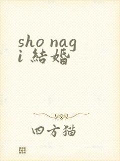 sho nagi 结婚