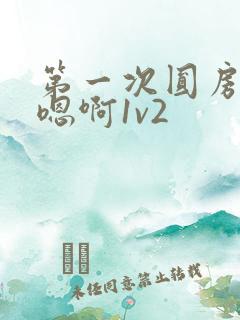 第一次圆房～h嗯啊1v2