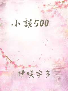小说500