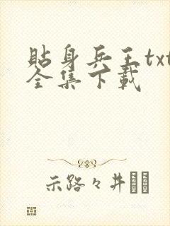 贴身兵王txt全集下载