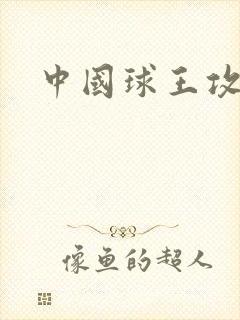 中国球王攻略
