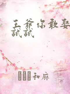 王爷你敢娶小三试试