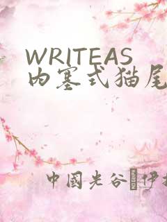 WRITEAS内塞式猫尾