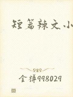 短篇辣文小说