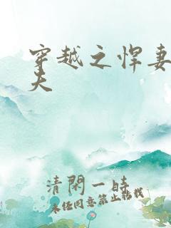 穿越之悍妻共三夫