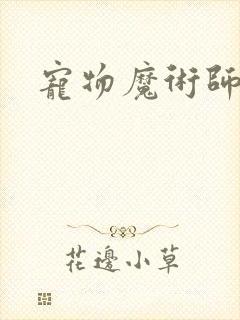 宠物魔术师下载