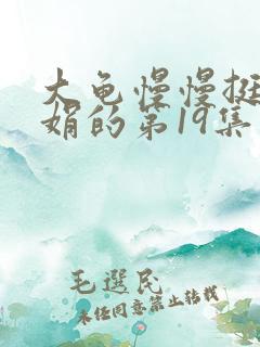 大龟慢慢挺进张娟的第19集