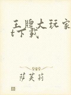 王牌大玩家txt下载