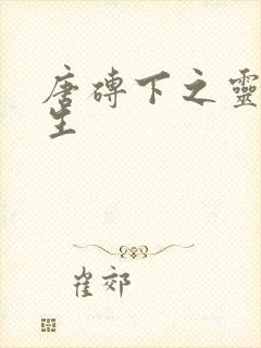 唐砖下之灵域双生