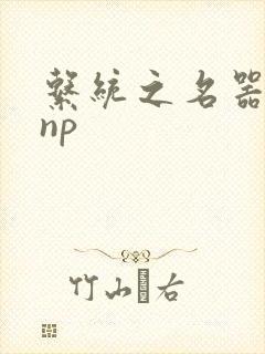 系统之名器攻略np