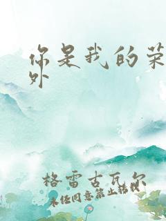 你是我的荣耀番外