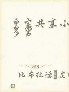 皇家共享小公主多男