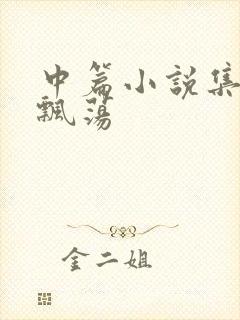 中篇小说集随风飘荡