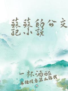 苏苏的公交车日记小说