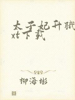 太子妃升职记txt下载