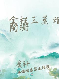 金枝玉叶 灯火阑珊