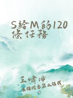 S给M的120条任务