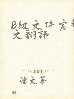 B级文件完整中文翻译