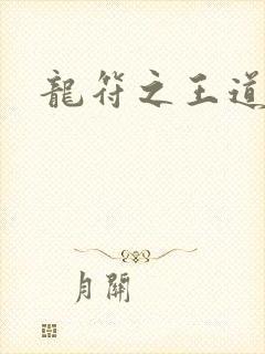 龙符之王道天下