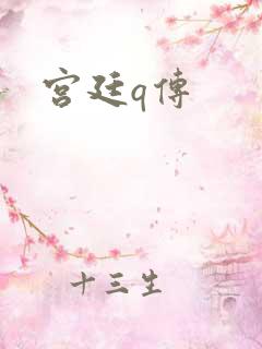 宫廷q传