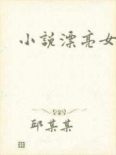 小说漂亮女局长