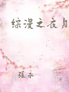 综漫之夜月
