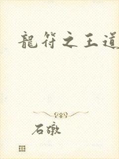 龙符之王道天下