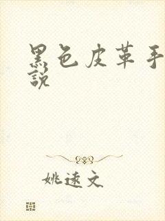 黑色皮革手册小说