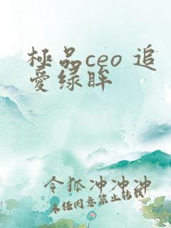 极品ceo 追爱绿眸