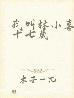 我叫林小喜今年十七岁