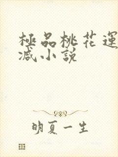 极品桃花运未删减小说