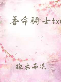 吾命骑士txt