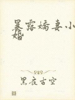 暴露娇妻小月新婚