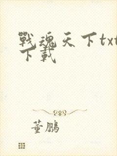 战魂天下txt下载