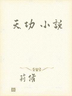 天功 小说