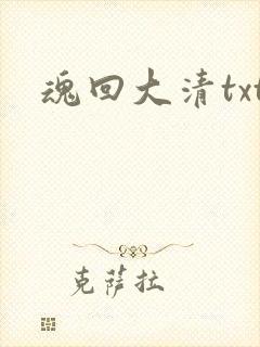 魂回大清txt