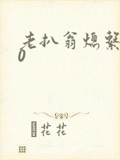 老扒翁熄系列40