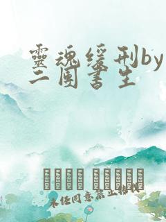 灵魂缓刑by 二团书生