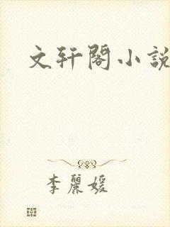 文轩阁小说网
