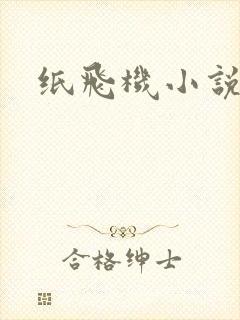 纸飞机小说