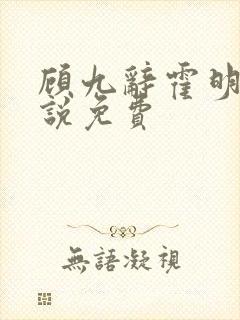 顾九辞霍明澈小说免费