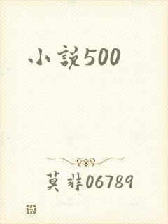 小说500
