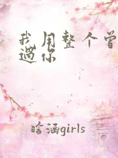 我用整个曾经爱过你