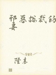 邪恶总裁的娇宠妻