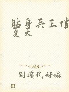 贴身兵王俏总裁夏天