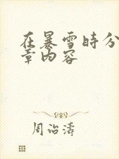 在暴雪时分54章内容