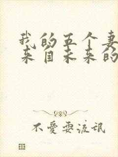 我的五个妻子和来自未来的孩子