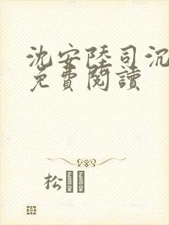 沈安陆司沉小说免费阅读