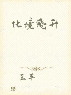 化境飞升